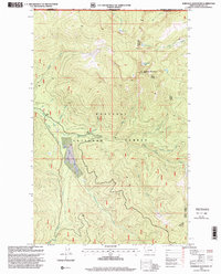 Download a high-resolution, GPS-compatible USGS topo map for Robinson Mountain, MT (2000 edition)