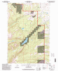 Download a high-resolution, GPS-compatible USGS topo map for Rock Creek Lake, MT (1998 edition)