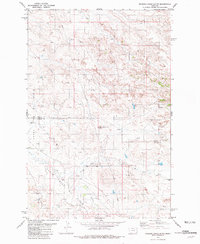 Download a high-resolution, GPS-compatible USGS topo map for Rocking Chair Butte, MT (1981 edition)