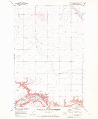 Download a high-resolution, GPS-compatible USGS topo map for Rocky Coulee SW, MT (1973 edition)
