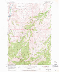 Download a high-resolution, GPS-compatible USGS topo map for Ross Canyon, MT (1971 edition)