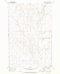 Download a high-resolution, GPS-compatible USGS topo map for Rough Creek SW, MT (1973 edition)