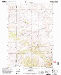 Download a high-resolution, GPS-compatible USGS topo map for Ruby Mountain, MT (2005 edition)