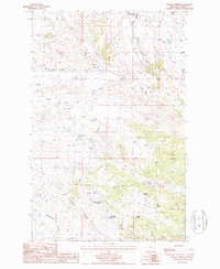 Download a high-resolution, GPS-compatible USGS topo map for Runyan Bench, MT (1987 edition)