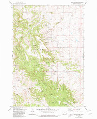 Download a high-resolution, GPS-compatible USGS topo map for Rustler Divide, MT (1980 edition)