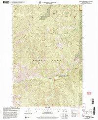 Download a high-resolution, GPS-compatible USGS topo map for Saint Patrick Peak, MT (2003 edition)