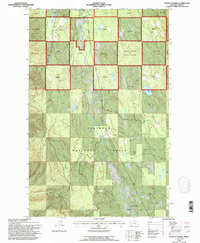 Download a high-resolution, GPS-compatible USGS topo map for Salmon Prairie, MT (1996 edition)