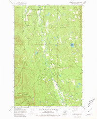 Download a high-resolution, GPS-compatible USGS topo map for Salmon Prairie, MT (1980 edition)