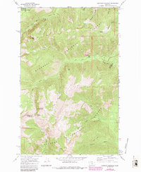 Download a high-resolution, GPS-compatible USGS topo map for Sawtooth Mountain, MT (1984 edition)