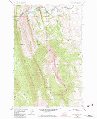 Download a high-resolution, GPS-compatible USGS topo map for Sawtooth Ridge, MT (1984 edition)