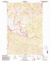 Download a high-resolution, GPS-compatible USGS topo map for Scapegoat Mountain, MT (1997 edition)