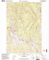 Download a high-resolution, GPS-compatible USGS topo map for Schley Mountain, MT (2003 edition)