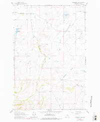 Download a high-resolution, GPS-compatible USGS topo map for Schrammeck Lake, MT (1980 edition)