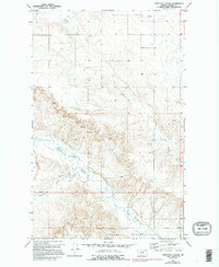 Download a high-resolution, GPS-compatible USGS topo map for Shipstead Coulee, MT (1995 edition)