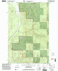 preview thumbnail of historical topo map of Flathead County, MT in 1999