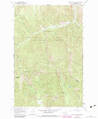 Download a high-resolution, GPS-compatible USGS topo map for Silver Butte Pass, MT (1984 edition)