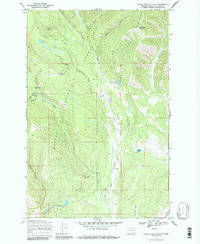 Download a high-resolution, GPS-compatible USGS topo map for Silver King Mountain, MT (1987 edition)