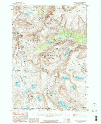 Download a high-resolution, GPS-compatible USGS topo map for Silver Run Peak, MT (1986 edition)