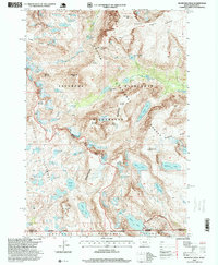 Download a high-resolution, GPS-compatible USGS topo map for Silver Run Peak, MT (1999 edition)