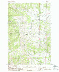 Download a high-resolution, GPS-compatible USGS topo map for Sixmile Mountain, MT (1986 edition)