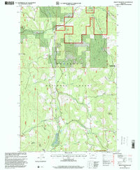 Download a high-resolution, GPS-compatible USGS topo map for Skillet Mountain, MT (2000 edition)