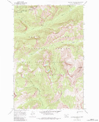 Download a high-resolution, GPS-compatible USGS topo map for Slategoat Mountain, MT (1984 edition)