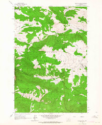 Download a high-resolution, GPS-compatible USGS topo map for Snedaker Basin, MT (1964 edition)