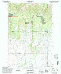 Download a high-resolution, GPS-compatible USGS topo map for Snow Saucer Coulee, MT (1997 edition)
