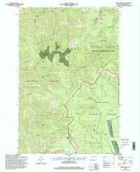 preview thumbnail of historical topo map of Granite County, MT in 1996