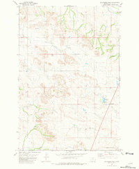 Download a high-resolution, GPS-compatible USGS topo map for Sportsman Pond, MT (1981 edition)