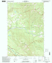 Download a high-resolution, GPS-compatible USGS topo map for Spotted Bear Mountain, MT (1997 edition)