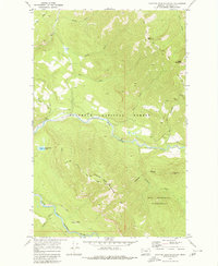 Download a high-resolution, GPS-compatible USGS topo map for Spotted Bear Mountain, MT (1980 edition)
