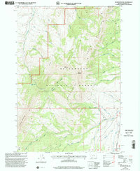 Download a high-resolution, GPS-compatible USGS topo map for Spur Mountain, MT (2002 edition)