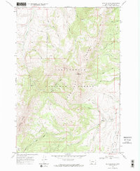 Download a high-resolution, GPS-compatible USGS topo map for Spur Mountain, MT (1984 edition)