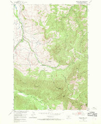 Download a high-resolution, GPS-compatible USGS topo map for Squaw Peak, MT (1969 edition)