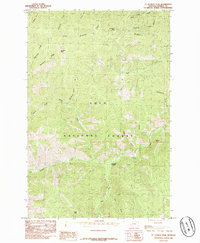 Download a high-resolution, GPS-compatible USGS topo map for St Patrick Peak, MT (1985 edition)