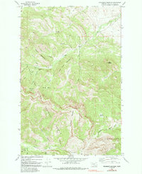 Download a high-resolution, GPS-compatible USGS topo map for Steamboat Mountain, MT (1991 edition)