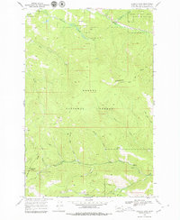 Download a high-resolution, GPS-compatible USGS topo map for Stemple Pass, MT (1979 edition)