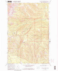 Download a high-resolution, GPS-compatible USGS topo map for Stonewall Mountain, MT (1980 edition)