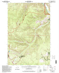 Download a high-resolution, GPS-compatible USGS topo map for Stony Creek, MT (1998 edition)