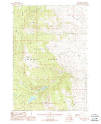 Download a high-resolution, GPS-compatible USGS topo map for Storm Peak, MT (1988 edition)