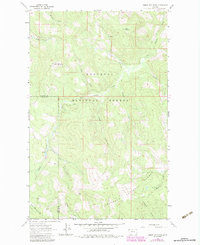 preview thumbnail of historical topo map of Flathead County, MT in 1963