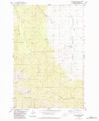 Download a high-resolution, GPS-compatible USGS topo map for Sunrise Spring, MT (1984 edition)