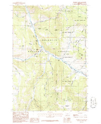 Download a high-resolution, GPS-compatible USGS topo map for Sunshine Point, MT (1987 edition)