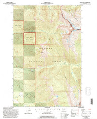 Download a high-resolution, GPS-compatible USGS topo map for Swan Peak, MT (1996 edition)