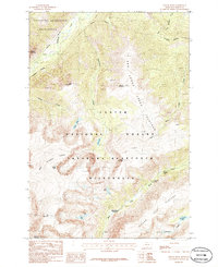 Download a high-resolution, GPS-compatible USGS topo map for Sylvan Peak, MT (1986 edition)
