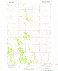 Download a high-resolution, GPS-compatible USGS topo map for T Creek, MT (1976 edition)