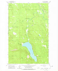 Download a high-resolution, GPS-compatible USGS topo map for Tally Lake, MT (1979 edition)