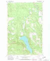 Download a high-resolution, GPS-compatible USGS topo map for Tally Lake, MT (1983 edition)