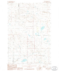 Download a high-resolution, GPS-compatible USGS topo map for Teigen NW, MT (1986 edition)